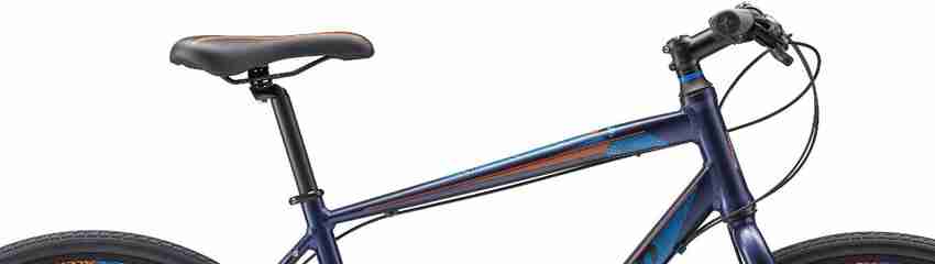 Schwinn super sales sport 2