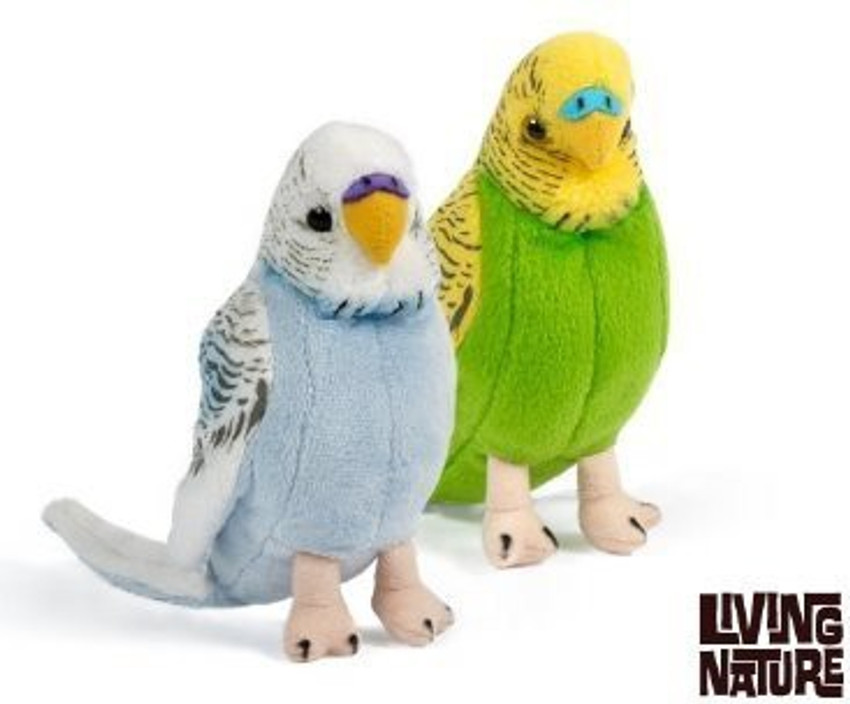 Budgie soft 2025 toy