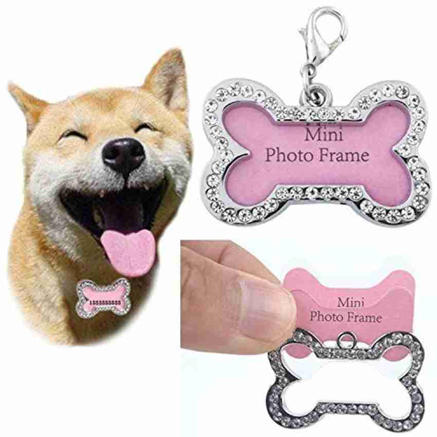 Dog name collar clearance