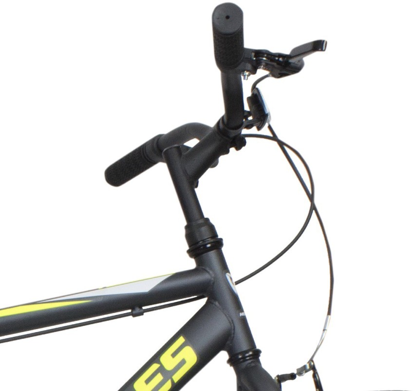 giant roam 2 disc 2020