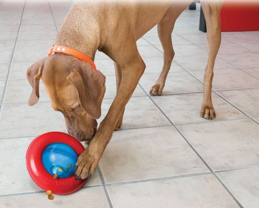 dog liquid treat dispenser