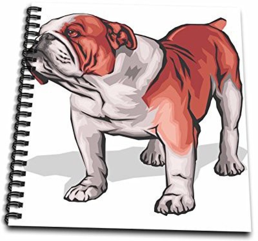 1789 English Bulldog Sketch Images Stock Photos  Vectors  Shutterstock