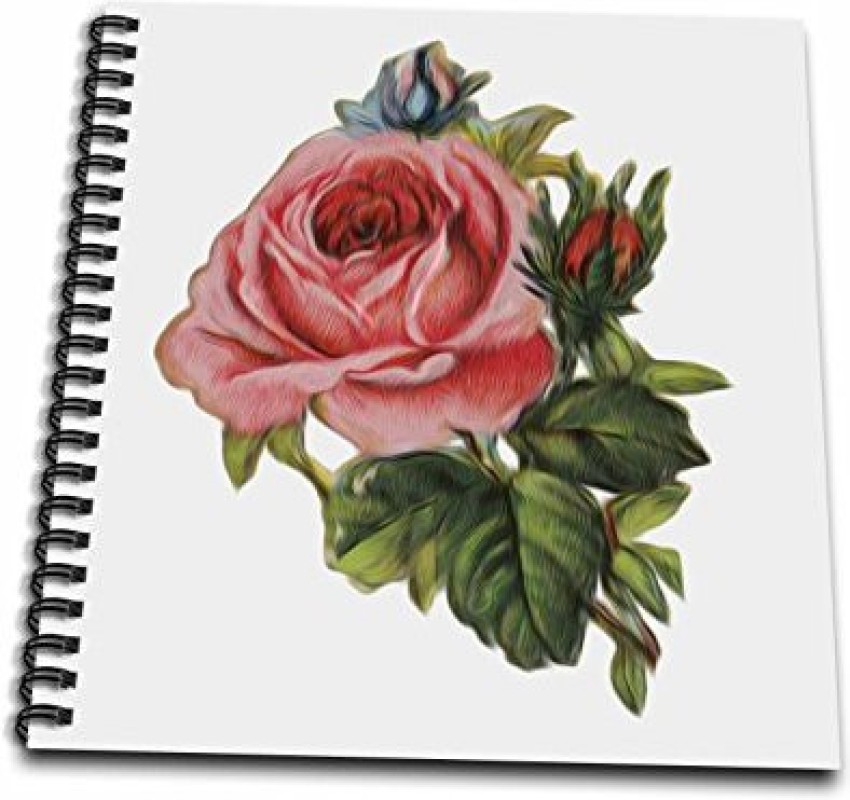 Drawing a Rose Tips and Techniques for Creating Beautiful and Symbolic  Floral Artwork
