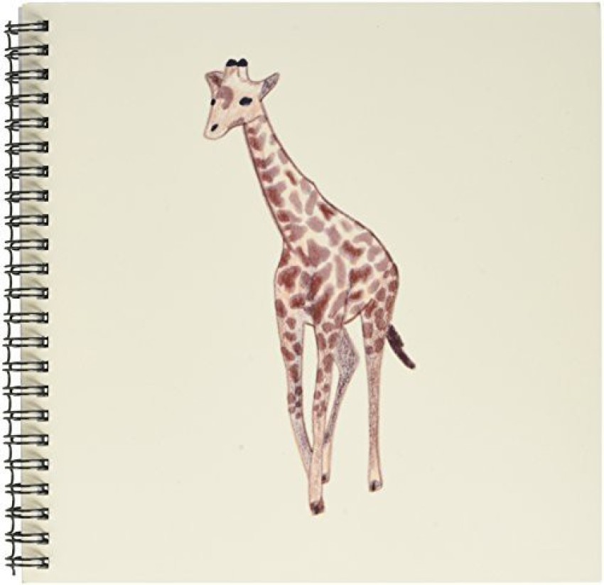 Baby giraffe  ink illustration Poster for Sale by Loren Dowding   Redbubble