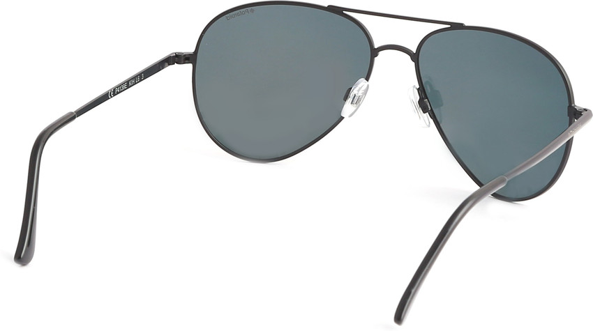 Lunette polaroid 2025 definition