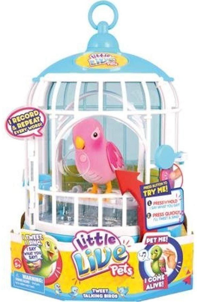 Talking bird in outlet cage toy