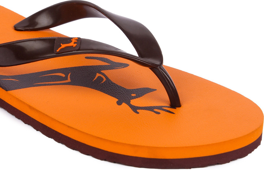 Calvin jones slippers outlet