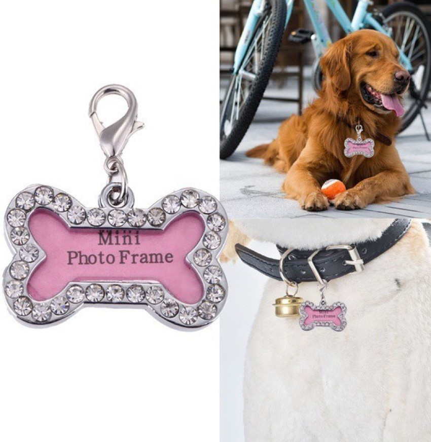 Pet name cheap collar