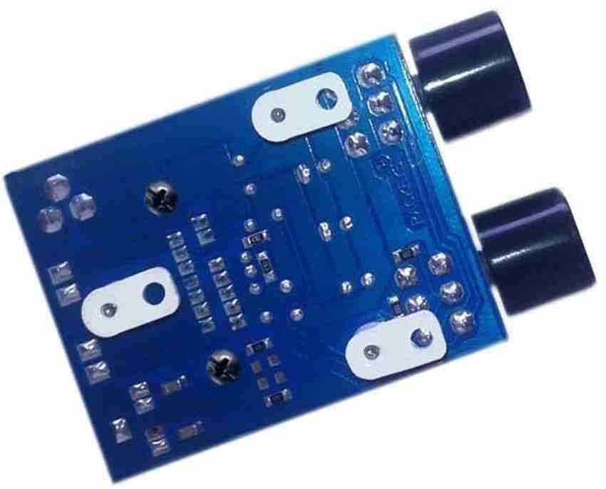 rackeys RAC15 2C 15 15 Watt Audio Amplifier Board with Balance for