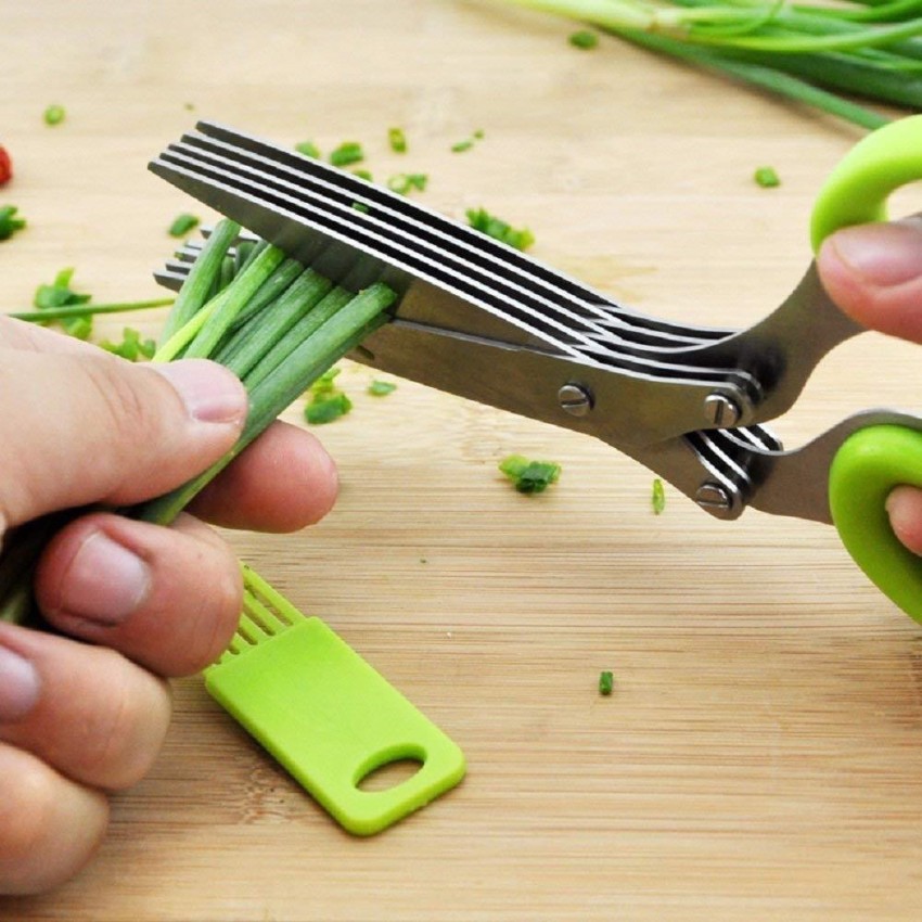 Multifunction 5 Blade Vegetable Stainless Steel Herbs Scissor with Blade  Comb (Color May Vary)