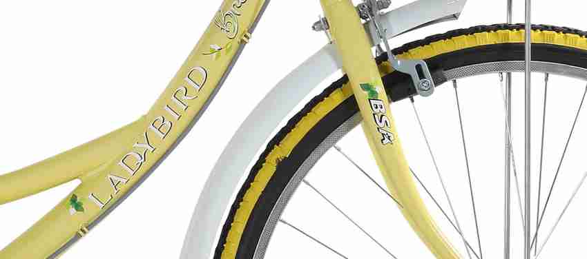 BSA Ladybird Breeze Junior 24 T Girls Cycle Womens Cycle Price in India Buy BSA Ladybird Breeze Junior 24 T Girls Cycle Womens Cycle online at Flipkart