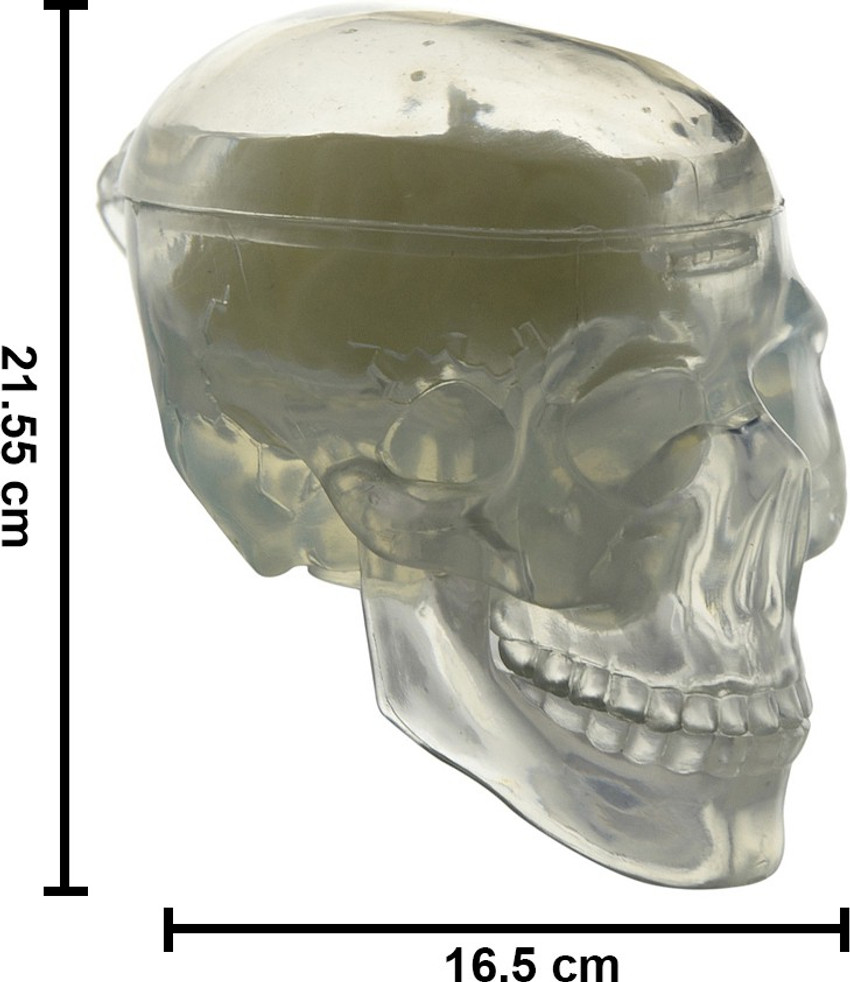 Kidz labs store human organs