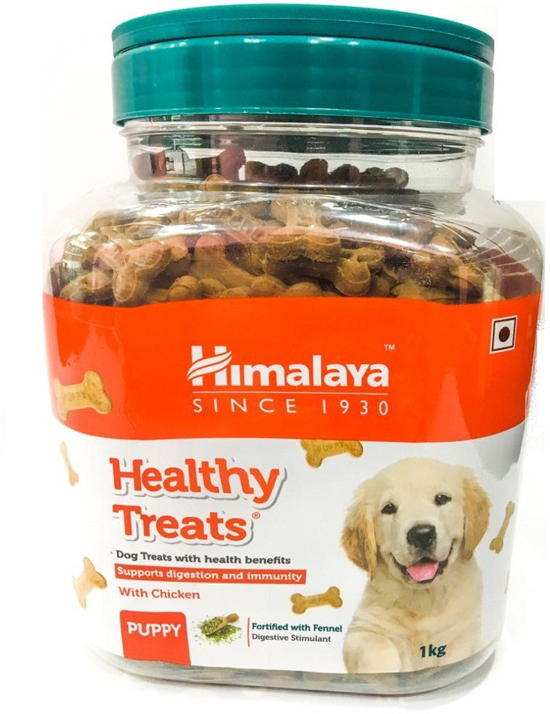 Labrador puppy treats top