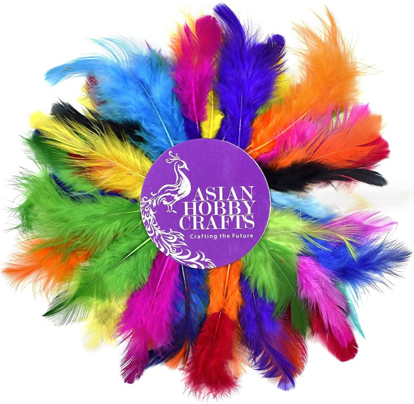 Hot Pink Craft Feathers (50 grams)
