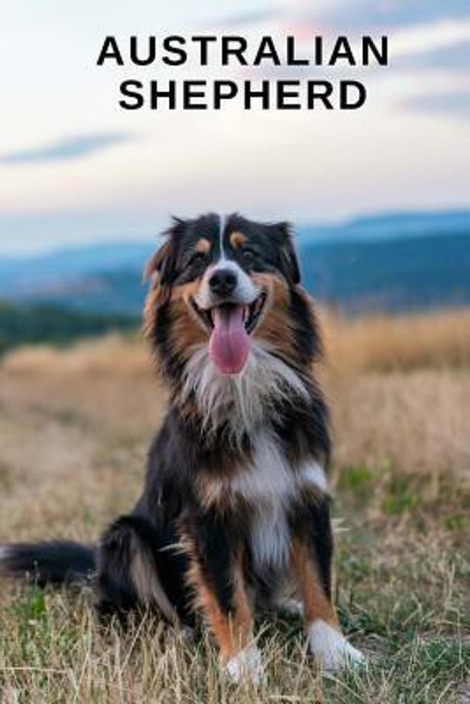 Australian Shepherd Buy Australian Shepherd by Cute Dog Press