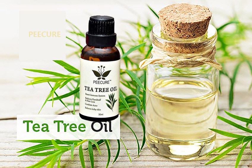 PEECURE 100 Pure Tea Tree Oil 30 ml for Skin Problem Hair Acne Treatment Skin hydration Tan removal Price in India Buy PEECURE 100 Pure Tea Tree Oil 30 ml for Skin Problem Hair Acne Treatment Skin hyd...