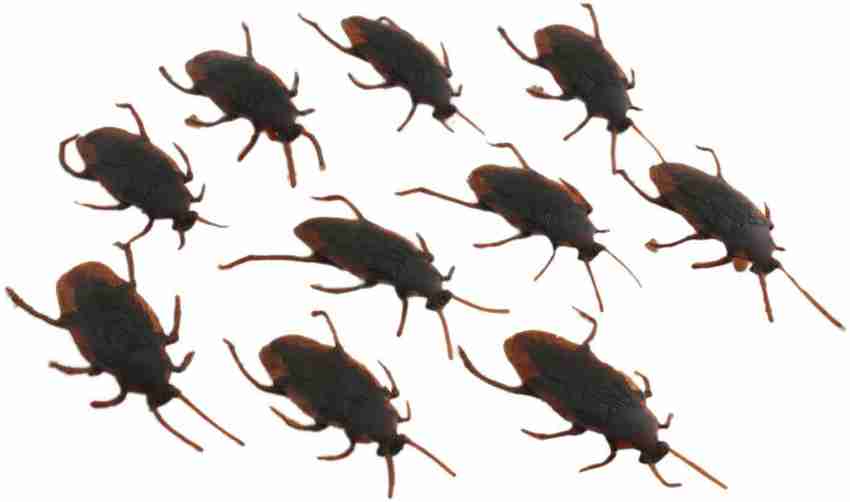 Plastic toy discount roaches