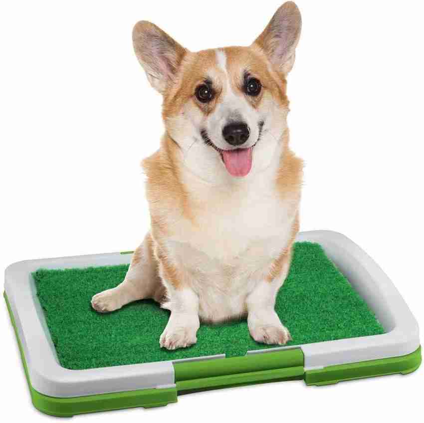 Indoor restroom puppy potty trainer hotsell