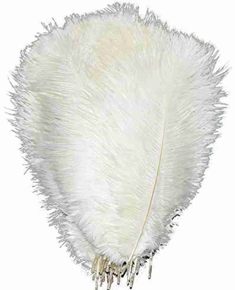 20 discount inch feathers