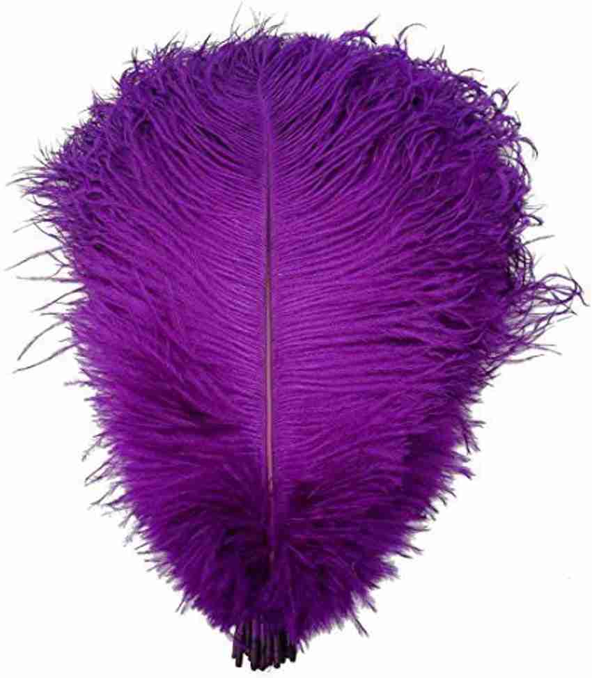 Natural store ostrich feathers