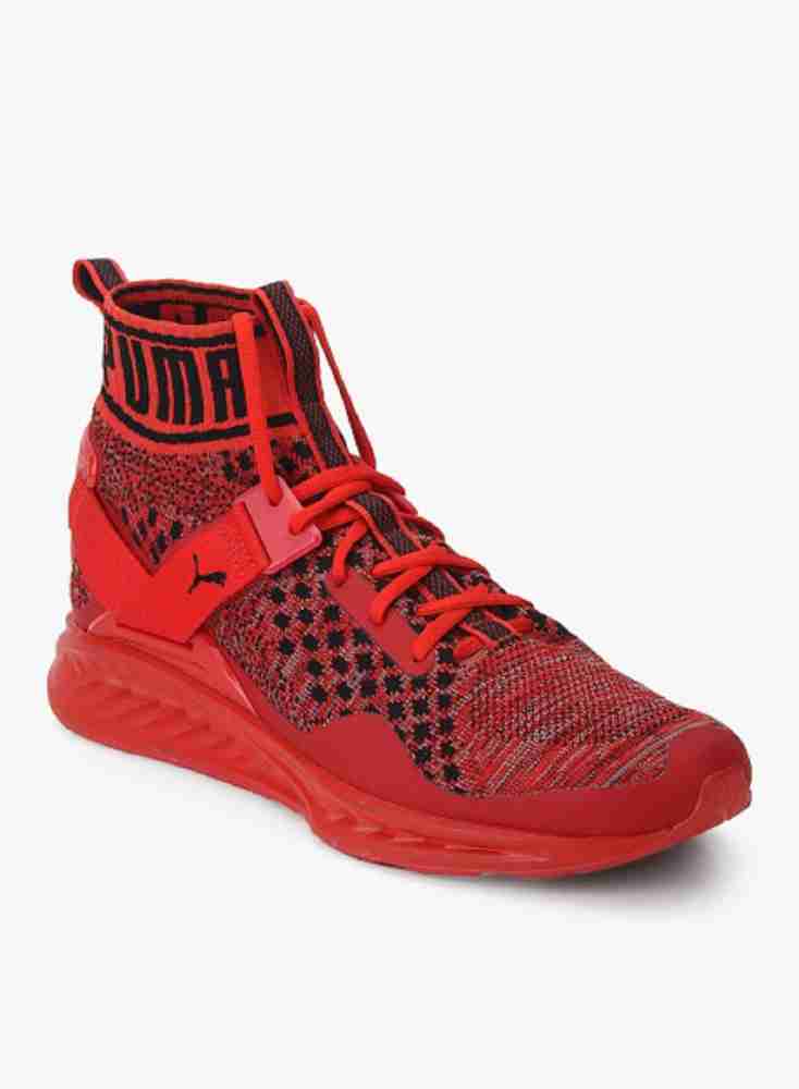 Puma ignite evoknit 3 cheap price women