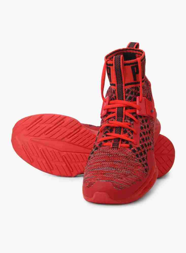 Puma ignite hotsell evoknit red/black