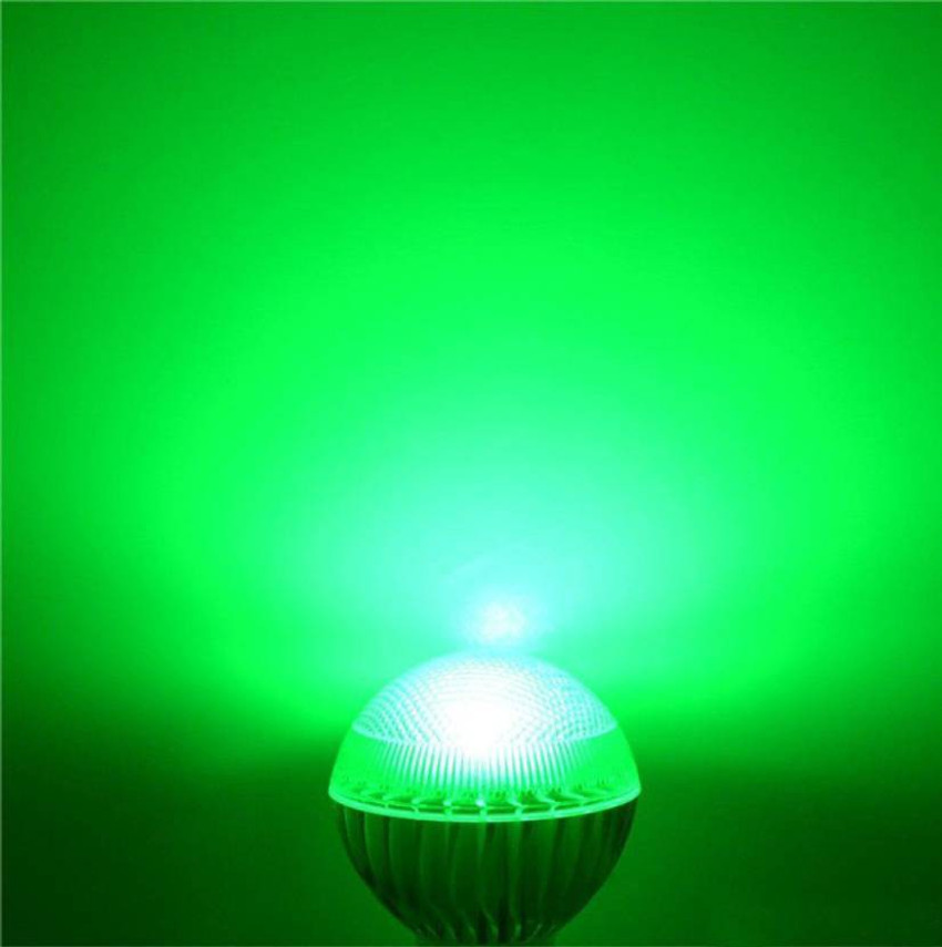 Led light for small temple outlet