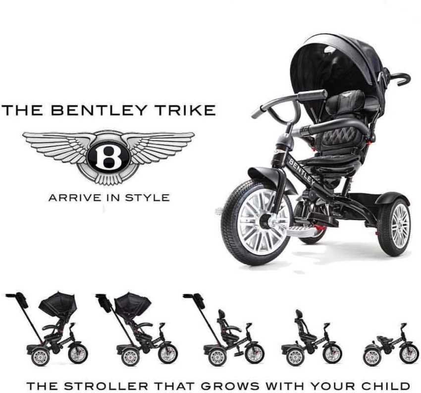 Bentley discount bicycle stroller