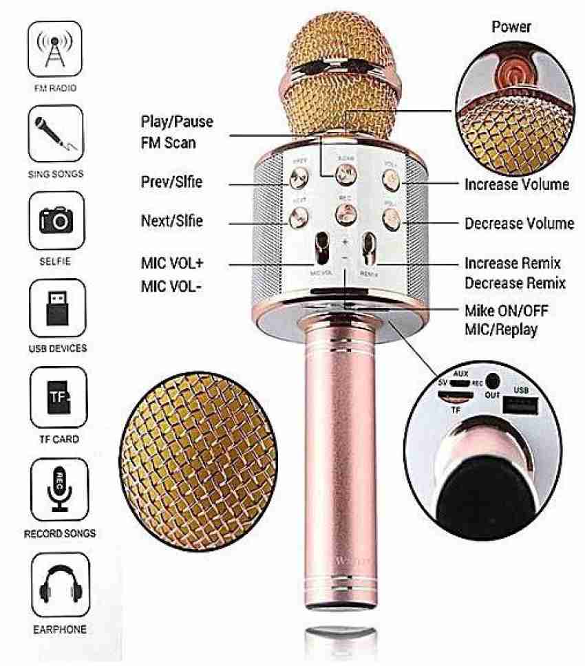 Wster karaoke online microphone