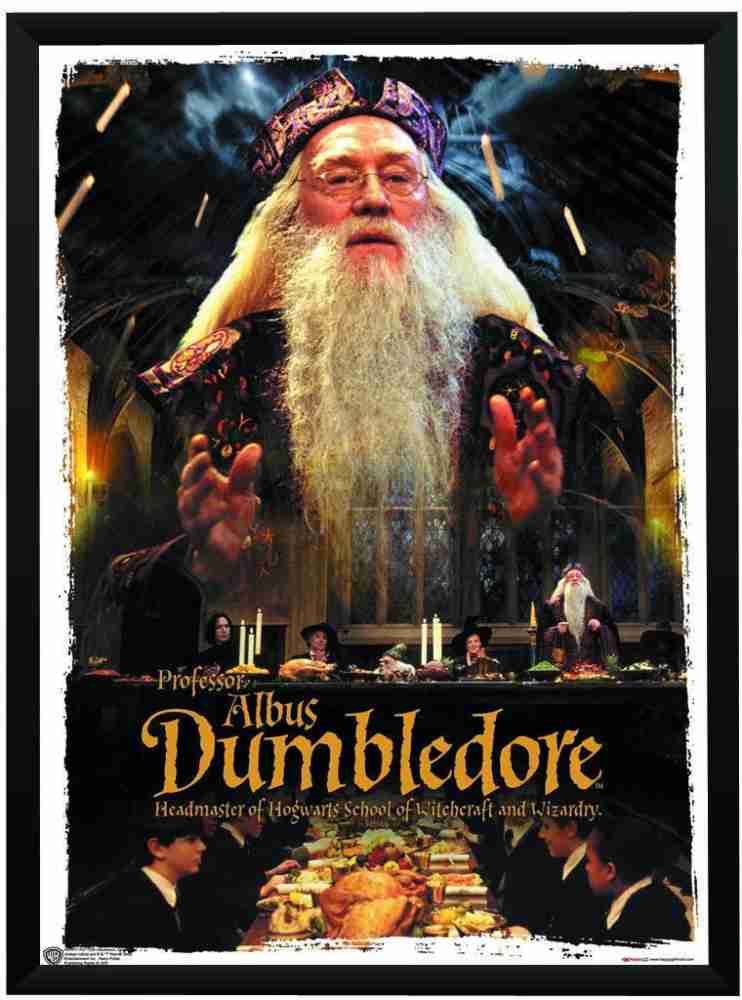 WB Official Licensed Harry Potter First Movie Albus Dumbledore Poster A3+  13 x 19 Frame Paper Print - Movies posters in India - Buy art, film, design,  movie, music, nature and educational paintings/wallpapers at