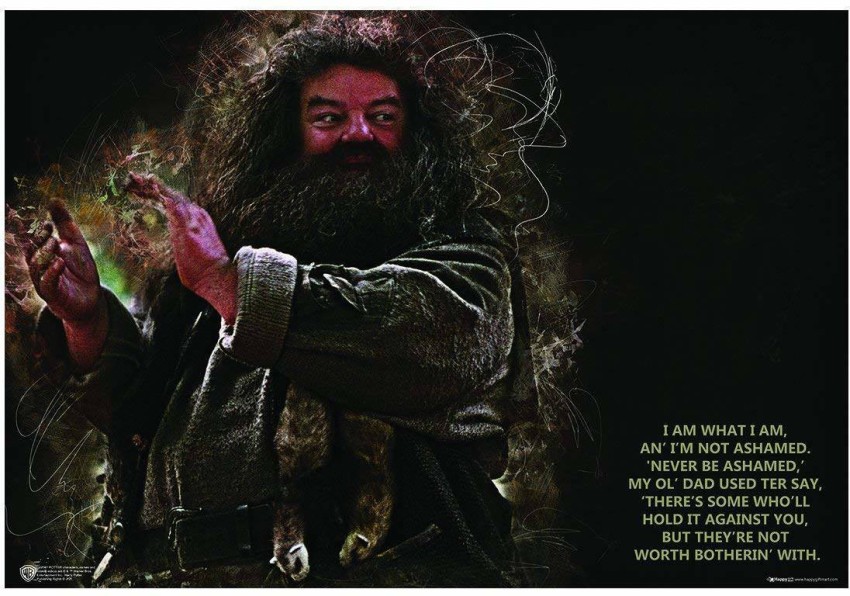 WB Official Licensed Harry Potter Hagrid I Am What I Am Poster A3+ 13 x 19  inches Paper Print - Movies posters in India - Buy art, film, design,  movie, music, nature