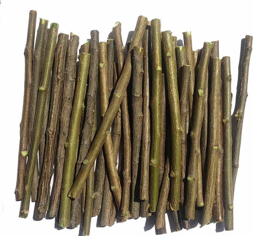 Twigs outlet online india