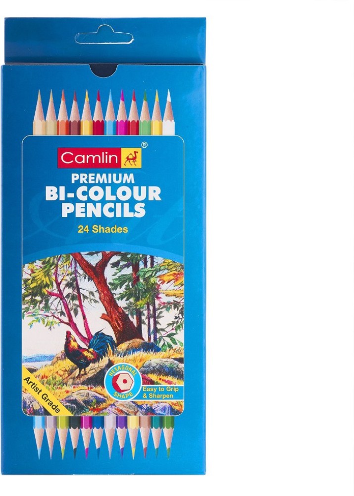Camlin Color Pencils Full Size Pencil Colors Drawing Color Pencils 24  Shades