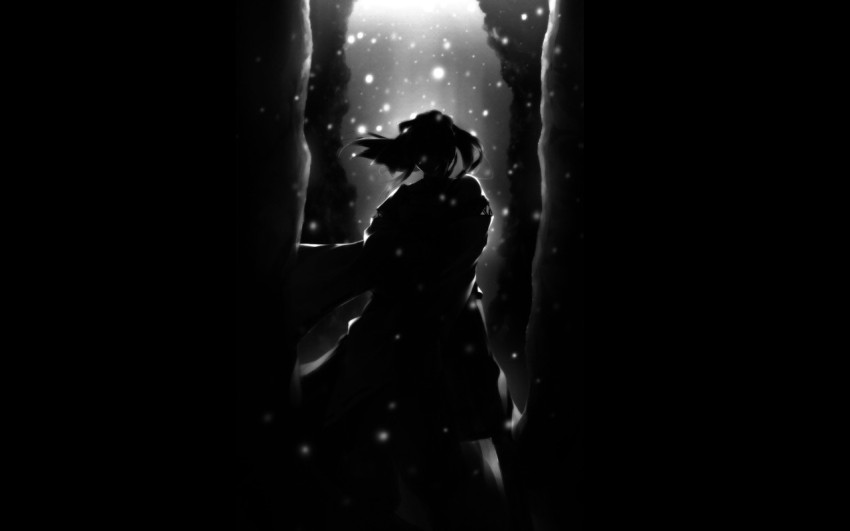 Anime girl sword cloak silhouette Royalty Free Vector Image