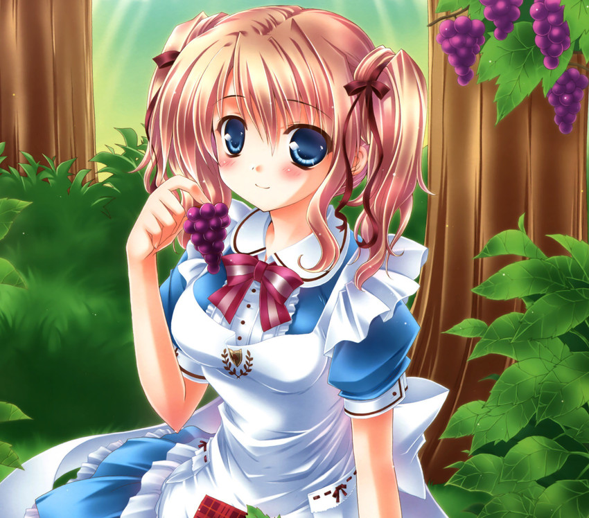 Grapes by Ichigo-OH on DeviantArt