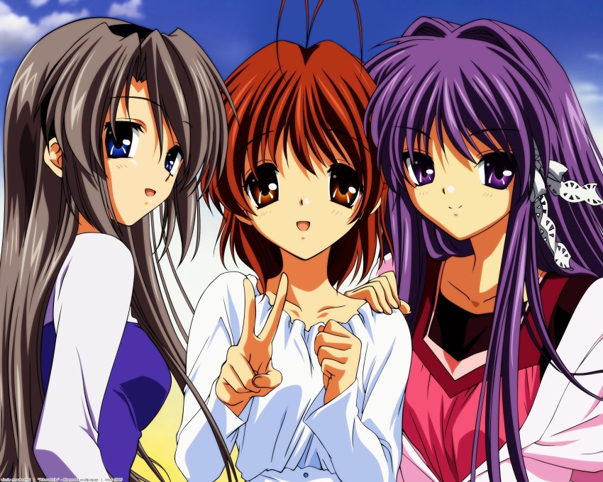 Ryou Fujibayashi from anime : Clannad  Clannad anime, Clannad, Clannad  after story