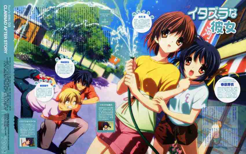 Clannad anime poster Nagisa Furukawa | Poster