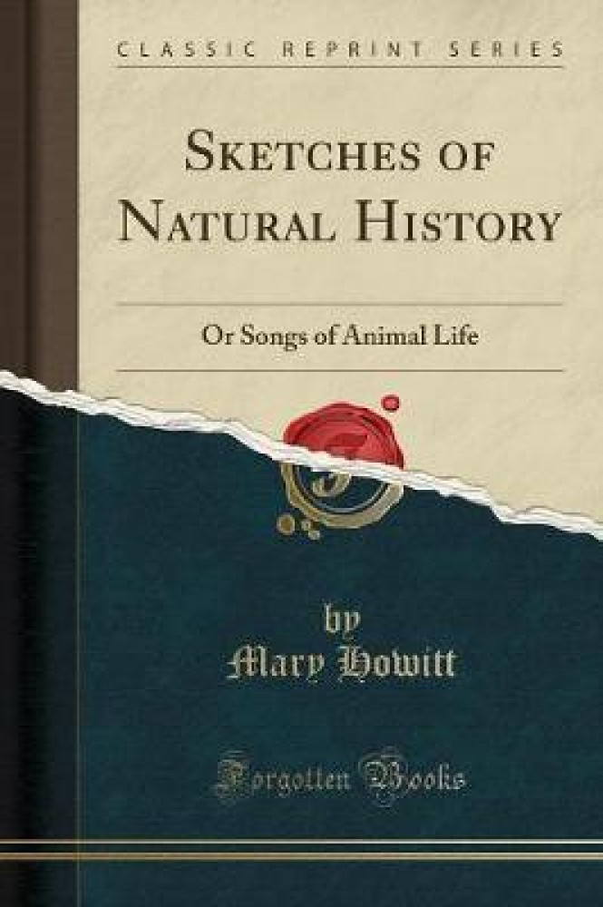 Natural Histories 500 Years of Rare Scientific Illustrations from the  American Museum of Natural History Archives  The Marginalian