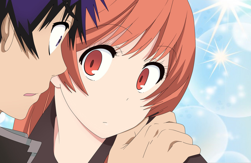 Athah Anime Nisekoi Marika Tachibana Raku Ichijō 13*19 inches Wall Poster  Matte Finish Paper Print - Animation & Cartoons posters in India - Buy art,  film, design, movie, music, nature and educational