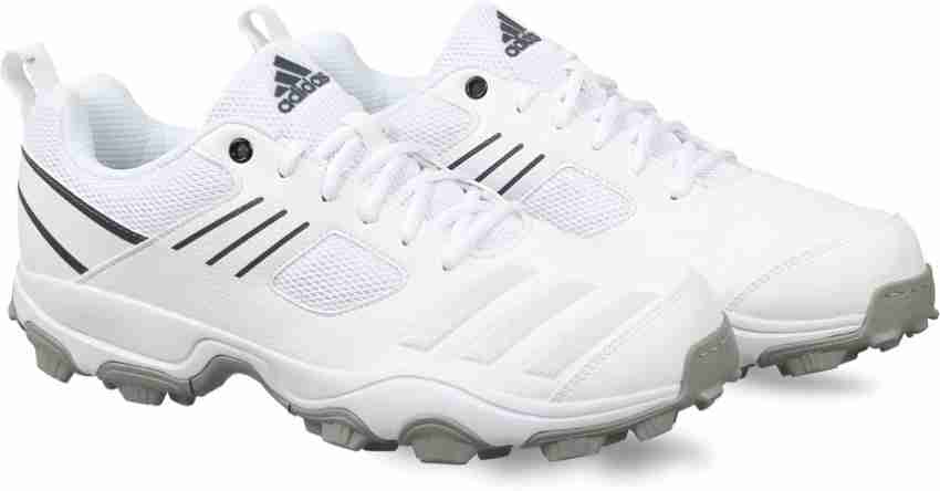 Adidas cri store hase cricket shoes