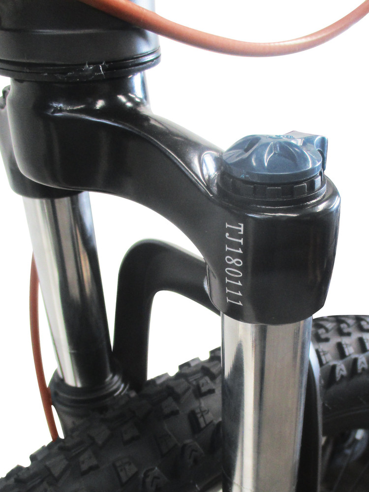 Frog Corvette Front Suspension Dual Disc Brake Bike For Adults