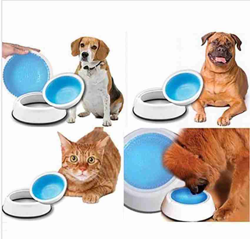 Chilled dog water clearance bowl