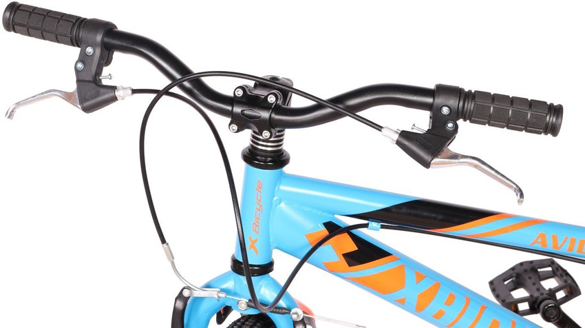 Avigo raw bike outlet