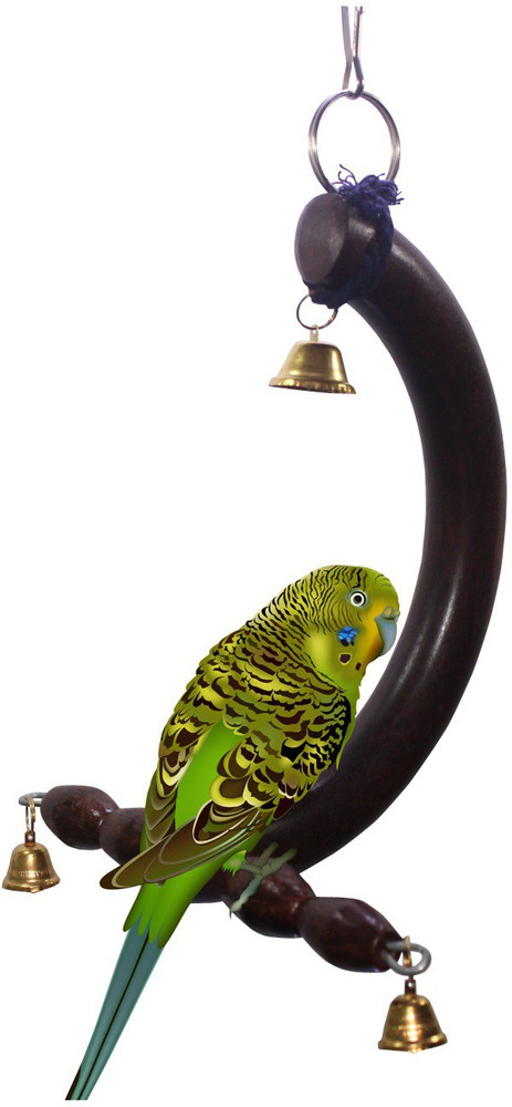 Parrot swing on sale precio