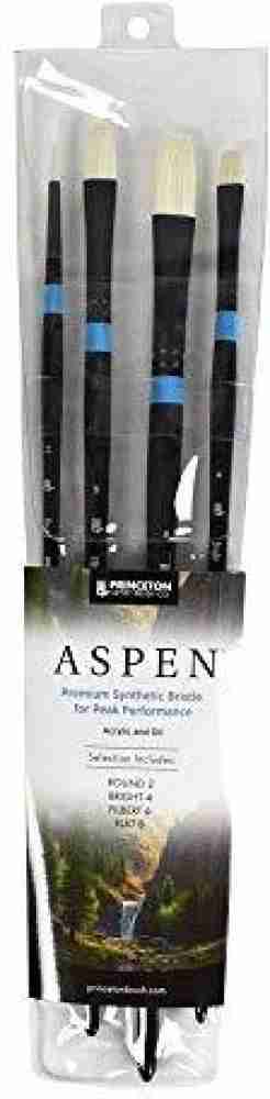 Princeton : Aspen : Synthetic Bristle Brushes : Series 6500 - Princeton :  Aspen - Princeton - Brands