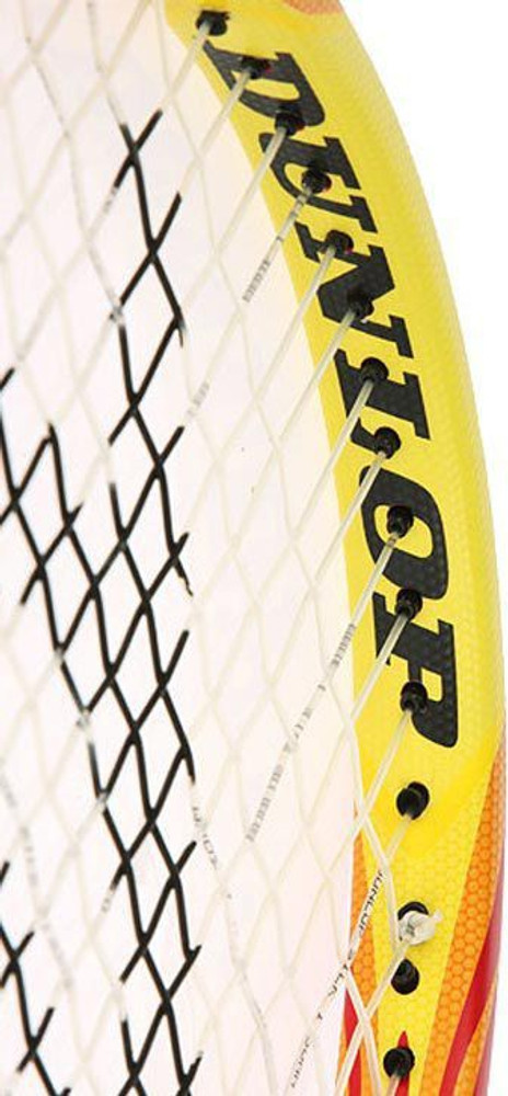 DUNLOP Biomimetic 300 Lite Red Strung Tennis Racquet - Buy