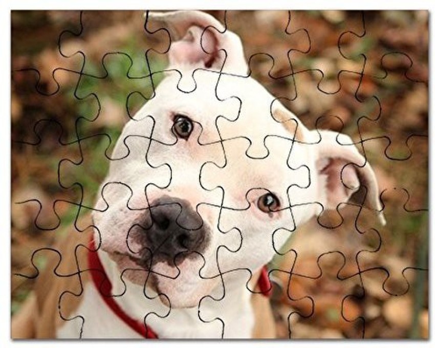 Genrc - Pitbull - Jigsaw Puzzle, 30 pcs. - - Pitbull - Jigsaw Puzzle, 30  pcs. . shop for Genrc products in India.