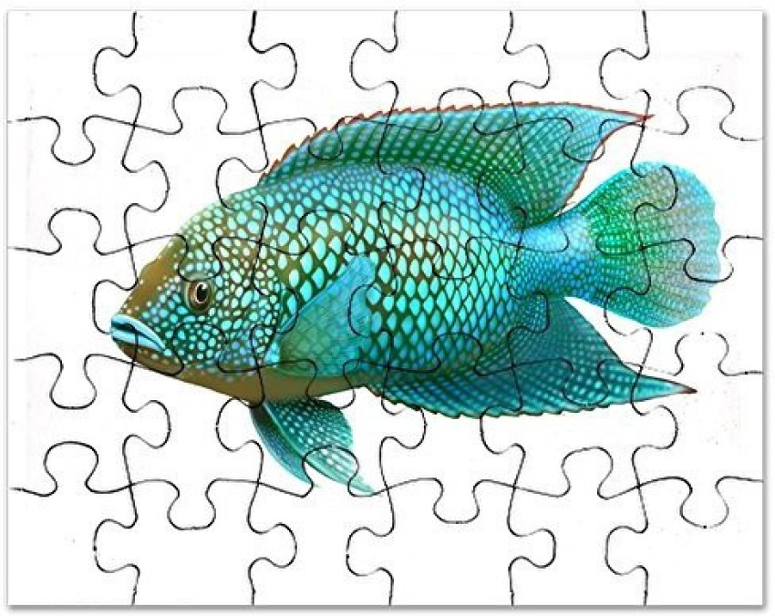 Jack Dempsey Cichlid Fish - Jigsaw Puzzle, 30 pcs. . shop for Genrc