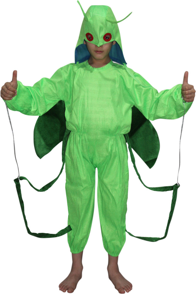 Details more than 140 insect fancy dress ideas latest seven.edu.vn