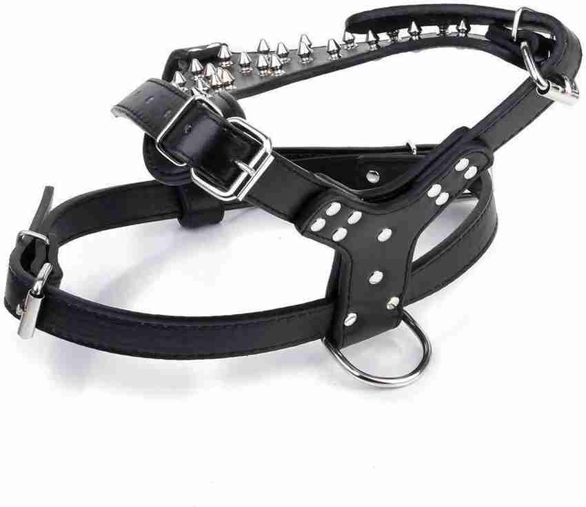Dog leather body belt 2025